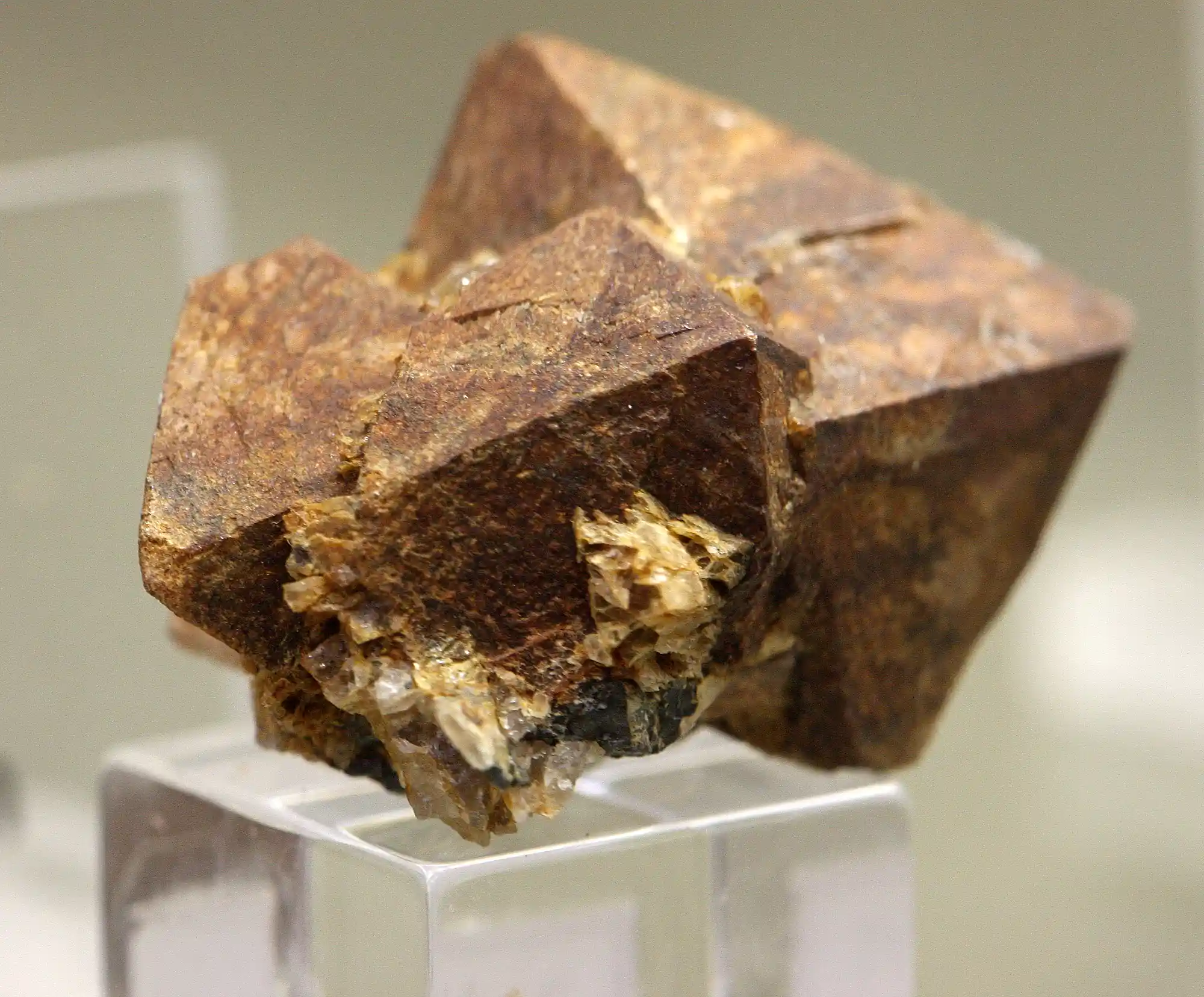 Brauner Xenotim-Kristall mit glänzenden tetragonalen Flächen auf einem Acrylsockel im Mineralogischen Museum Bonn